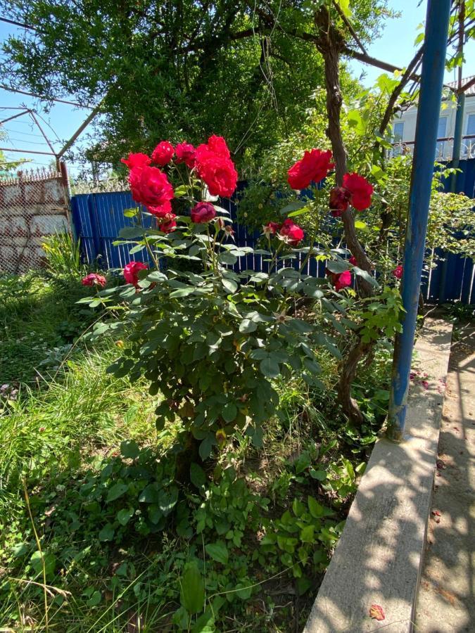 Cosy Guesthouse Tskaltubo Εξωτερικό φωτογραφία