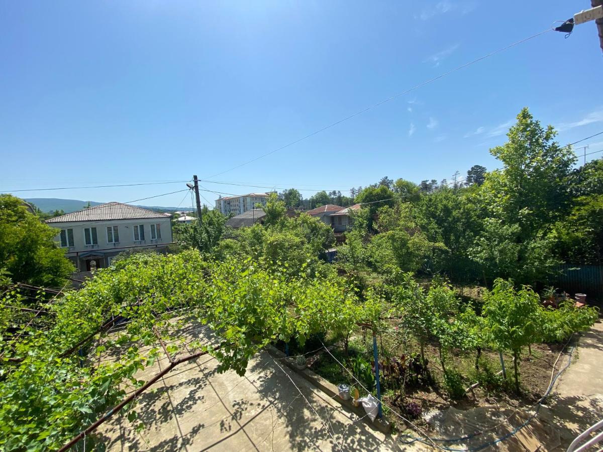 Cosy Guesthouse Tskaltubo Εξωτερικό φωτογραφία
